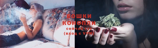 прущие грибы Алзамай