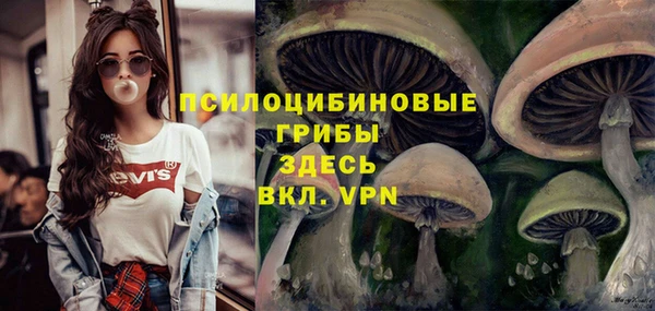 прущий лед Алексеевка