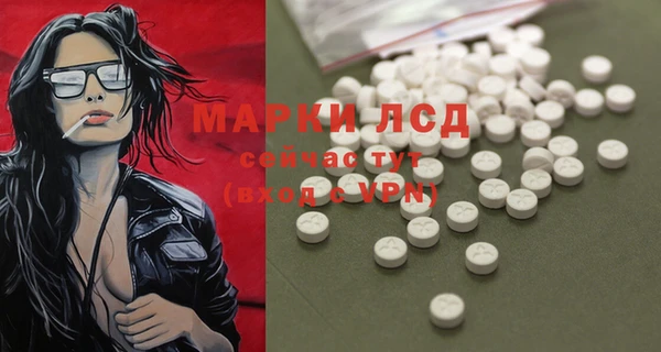 прущие грибы Алзамай